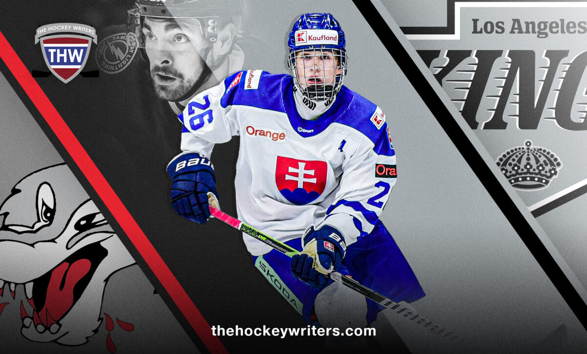 What the LA Kings Need From Jan Chovan Over the Next 3 Years - The Hockey Writers Latest News, Analysis & More