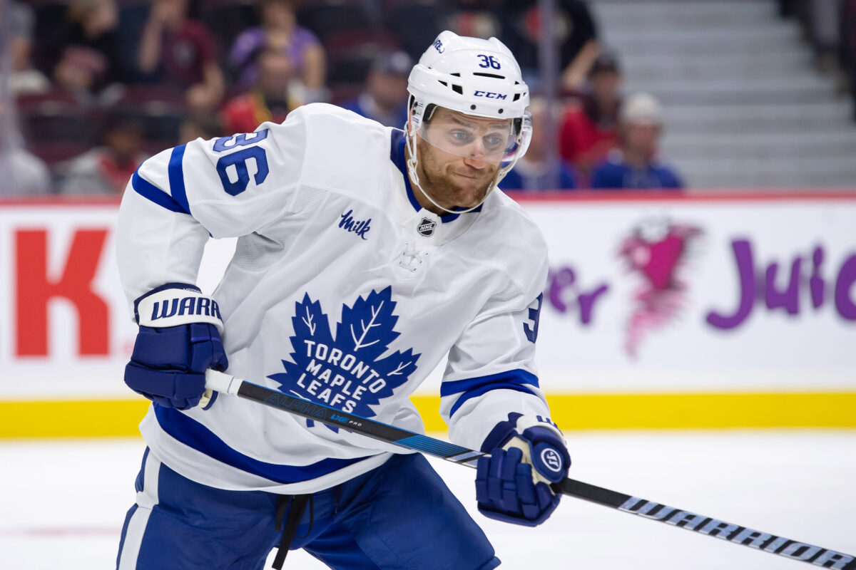 Dakota Mermis Toronto Maple Leafs
