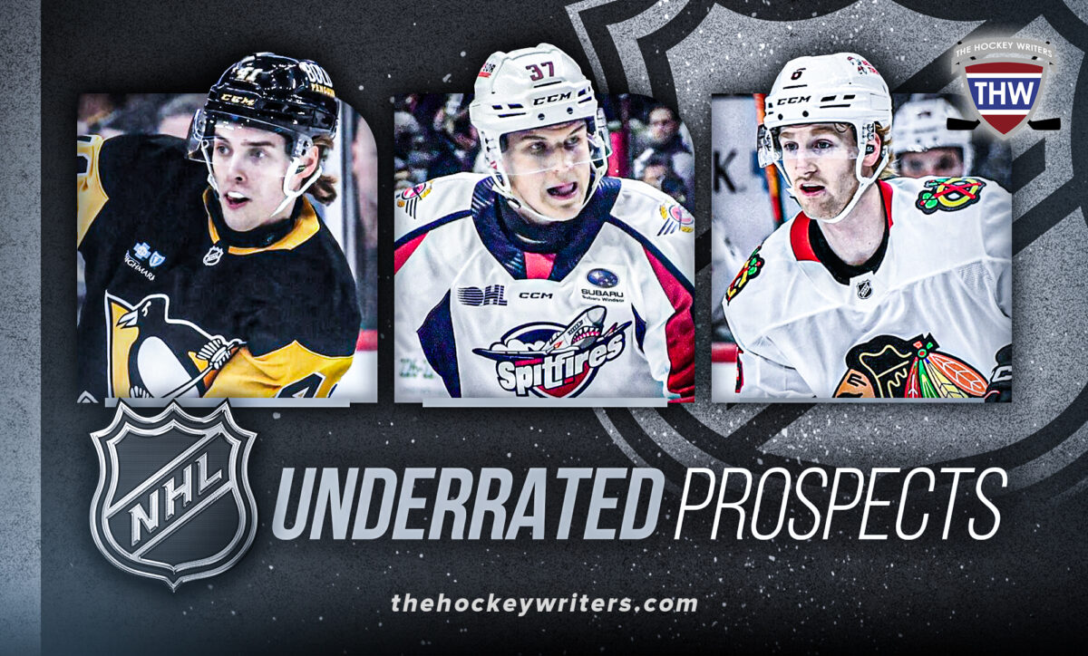 NHL Underrated Prospects Sam Rinzel, Ville Koivunen, Ilya Protas