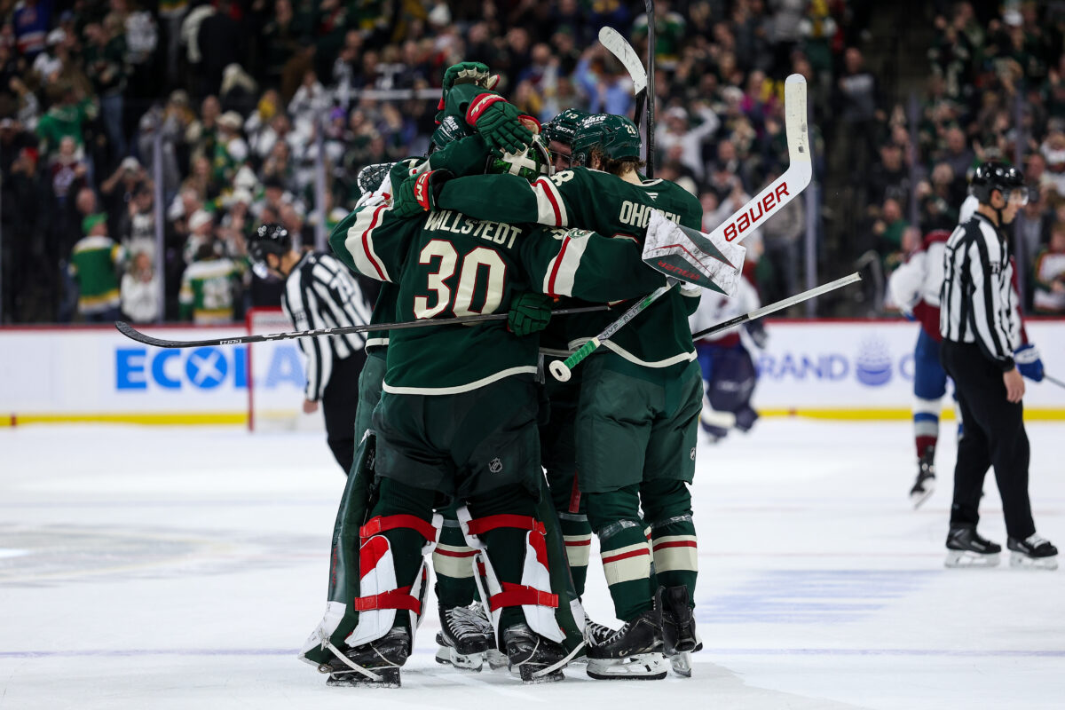Minnesota Wild Celebrate